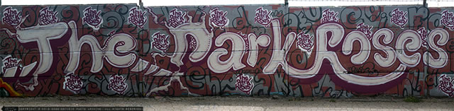 The Dark Roses by DoggieDoe and Motus, Co. Dase United - TDR - Zeytinburnu, Istanbul, Turkey 19-20. May 2013